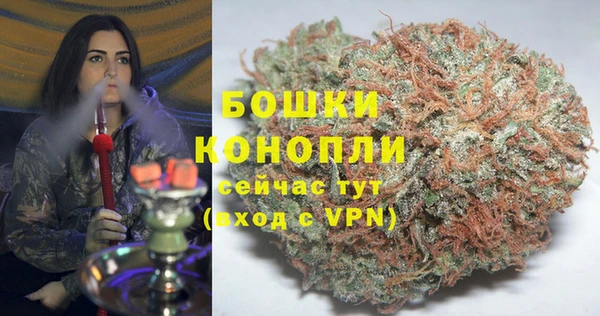 стаф Арсеньев