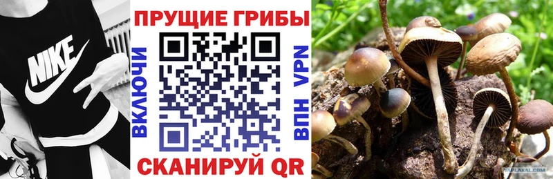 Галлюциногенные грибы мицелий  где можно купить наркотик  Сосенский 